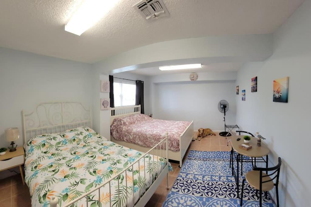 Paradise Lagoon*Bayhouse Fishing*Beach*Dogfriendly Galveston Esterno foto