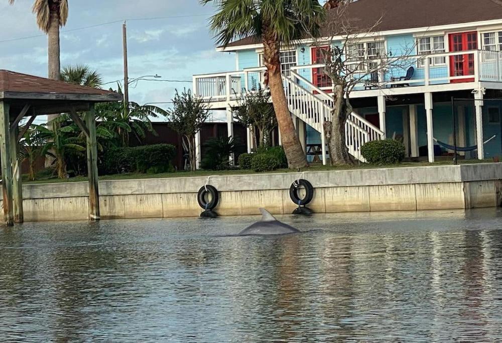 Paradise Lagoon*Bayhouse Fishing*Beach*Dogfriendly Galveston Esterno foto